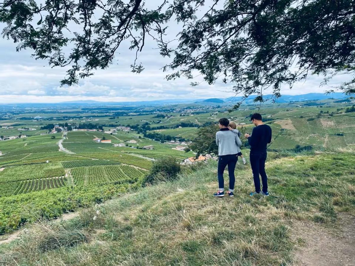 Vue panoramique sur le Beaujolais